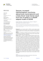 Seizures, increased interhemispheric synchrony, altered brain transcriptomics and a leaky blood–brain barrier result from loss of ap3b2 in a CRISPR tadpole model of DEE48