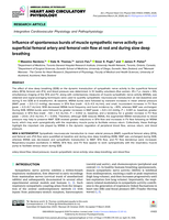 Influence of spontaneous bursts of muscle sympathetic nerve activity on superficial femoral artery and femoral vein flow at rest and during slow deep breathing