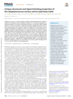 Unique structural and ligand-binding properties of the Staphylococcus aureus serine hydrolase FphE