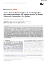 Passive Acoustic Monitoring Reveals New Insights Into the Acoustic Occurrence and Foraging Activity of Hector's Dolphins in Porpoise Bay, New Zealand
