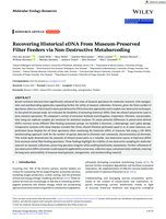 Recovering Historical eDNA From Museum‐Preserved Filter Feeders via Non‐Destructive Metabarcoding