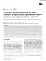 Exploring the Potential of Serpulid External Tube Morphology for Rapid Grouping Assessment in Ecological Research: A Case Study From Southern New Zealand