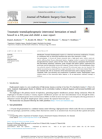 Traumatic transdiaphragmatic intercostal herniation of small bowel in a 10-year-old child: a case report