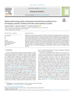 Market-based energy policy instruments and total factor productivity in developing countries: Evidence from the cement industry in India