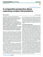 A comparative perspective allows unpacking complex interpretations
