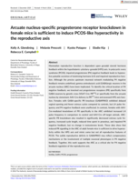 Arcuate nucleus-specific progesterone receptor knockdown in female mice is sufficient to induce PCOS-like hyperactivity in the reproductive axis
