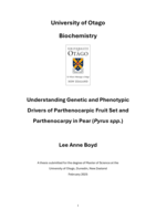 Understanding genetic and phenotypic drivers of parthenocarpy in pear