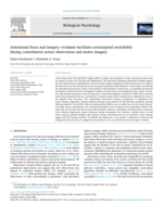 Attentional focus and imagery vividness facilitate corticospinal excitability during contralateral action observation and motor imagery