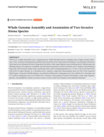 Whole Genome Assembly and Annotation of Two Invasive Sitona Species