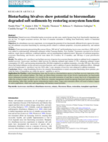 Bioturbating bivalves show potential to bioremediate degraded soft sediments by restoring ecosystem function