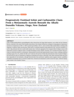 Progressively Fenitised Schist and Carbonatitic Clasts From a Metasomatic Aureole Beneath the Alkalic Dunedin Volcano, Otago, New Zealand