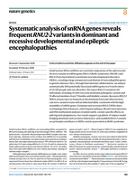 Systematic analysis of snRNA genes reveals frequent RNU2-2 variants in dominant and recessive developmental and epileptic encephalopathies