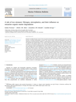 A tale of two stressors: Nitrogen, microplastics, and their influence on estuarine organic matter degradation
