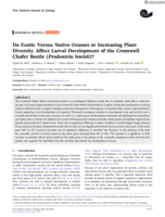 Do Exotic Versus Native Grasses or Increasing Plant Diversity Affect Larval Development of the Cromwell Chafer Beetle (<em>Prodontria lewisii<em>)?