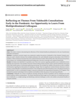 Reflecting on Themes From Telehealth Consultations Early in the Pandemic: An Opportunity to Learn From Multiprofessional Colleagues