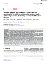 Deletion of a Pax1 Sex-Associated Genomic Region Associated With Adolescent Idiopathic Scoliosis Leads to Disc Degeneration, Instability, and Vertebral Rotation in Mice