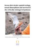 Across dire straits: spatial ecology, sexual dimorphism and survival of the critically endangered pukunui