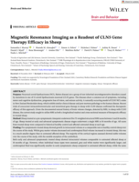 Magnetic Resonance Imaging as a Readout of CLN5 Gene Therapy Efficacy in Sheep