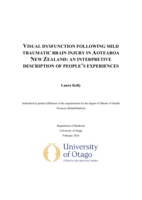 Visual Dysfunction Following Mild Traumatic Brain Injury in Aotearoa New Zealand: An Interpretive Description of People's Experiences