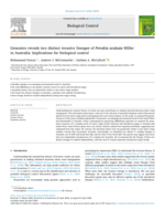 Genomics reveals two distinct invasive lineages of <em>Pereskia aculeata</em> Miller in Australia: Implications for biological control
