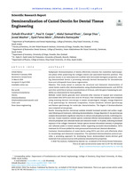 Demineralization of Camel Dentin for Dental Tissue Engineering