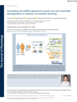 Circulating microRNA Signatures Reveal Core and Reversible Dysregulation in Obesity via Machine Learning
