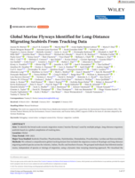 Global Marine Flyways Identified for Long-Distance Migrating Seabirds From Tracking Data