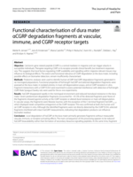Functional characterisation of dura mater αCGRP degradation fragments at vascular, immune, and CGRP receptor targets