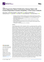 YBX1 Expression Marks Proliferative Tumour States with Context-Dependent Genomic Instability: A Pan-Cancer Analysis
