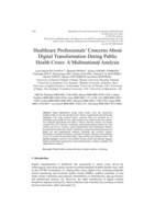 Healthcare Professionals' Concerns About Digital Transformation During Public Health Crises: A Multinational Analysis