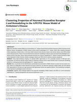 Clustering Properties of Neuronal Ryanodine Receptor 2 and Remodeling in the APP/PS1 Mouse Model of Alzheimer's Disease