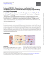 Reduced FBXO22 skews human trophoblast fate equilibrium toward syncytialization via polyubiquitinating the CoREST complex