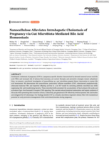 Nanocellulose Alleviates Intrahepatic Cholestasis of Pregnancy via Gut Microbiota-Mediated Bile Acid Homeostasis