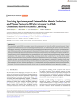 Tracking Spatiotemporal Extracellular Matrix Evolution and Tissue Fusion in 3D Microtissues via Click Chemistry-Based Metabolic Labelling
