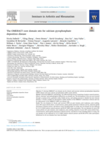 The OMERACT core domain sets for calcium pyrophosphate deposition disease