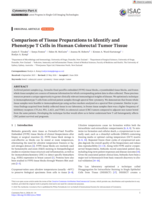Comparison of Tissue Preparations to Identify and Phenotype T Cells in Human Colorectal Tumor Tissue