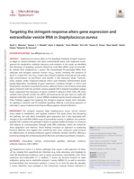 Targeting the stringent response alters gene expression and extracellular vesicle RNA in Staphylococcus aureus