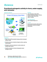 Functional estrogenic activity in rivers, water supply, and rainwater