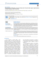 Morphological and Molecular Assessment of Quercetin's Protective Role Against Aspirin-induced Testicular Damage in Male Wistar Rats