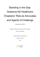 Standing in the gap: Aotearoa NZ healthcare chaplains' role as advocates and agents of challenge