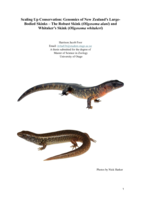 Scaling Up Conservation: Genomics of New Zealand’s Large-Bodied Skinks – The Robust Skink (Oligosoma alani) and Whitaker’s Skink (Oligosoma whitakeri)