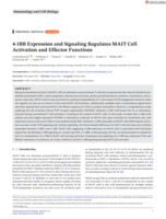 4-1BB Expression and Signaling Regulates MAIT Cell Activation and Effector Functions