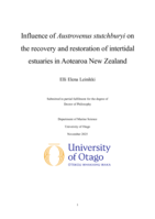 Influence of Austrovenus stutchburyi on the recovery and restoration of intertidal estuaries in Aotearoa New Zealand