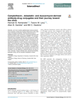 Camptothecin-, dolastatin- and duocarmycin-derived antibody-drug conjugates and their journey toward the clinic