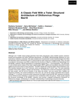 A classic fold with a twist: Structural architecture of Dhillonvirus phage Bas18