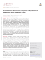 Dual inhibition of respiratory complexes in Mycobacterium tuberculosis results in bacterial killing