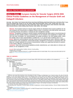 European Society for Vascular Surgery (ESVS) 2026 Clinical Practice Guidelines on the Management of Vascular Graft and Endograft Infections