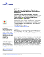 TAK1 operates at the primary cilium in non-canonical TGFB/BMP signaling to control heart development