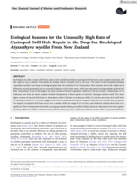 Ecological Reasons for the Unusually High Rate of Gastropod Drill Hole Repair in the Deep-Sea Brachiopod <em>Abyssothyris wyvillei</em> From New Zealand