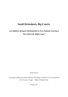 Small Defendants, Big Courts: Are Children Charged with Homicide in New Zealand Receiving a Fair Trial in the High Court?